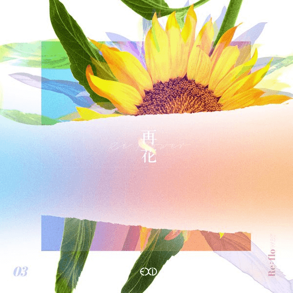 [Re:flower] PROJECT #3