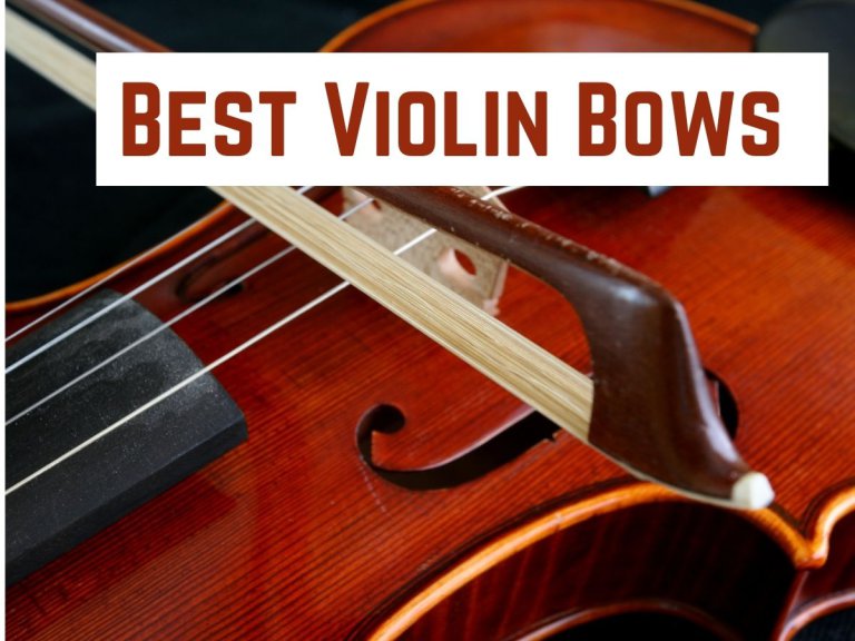 10 Best Violin Bows
