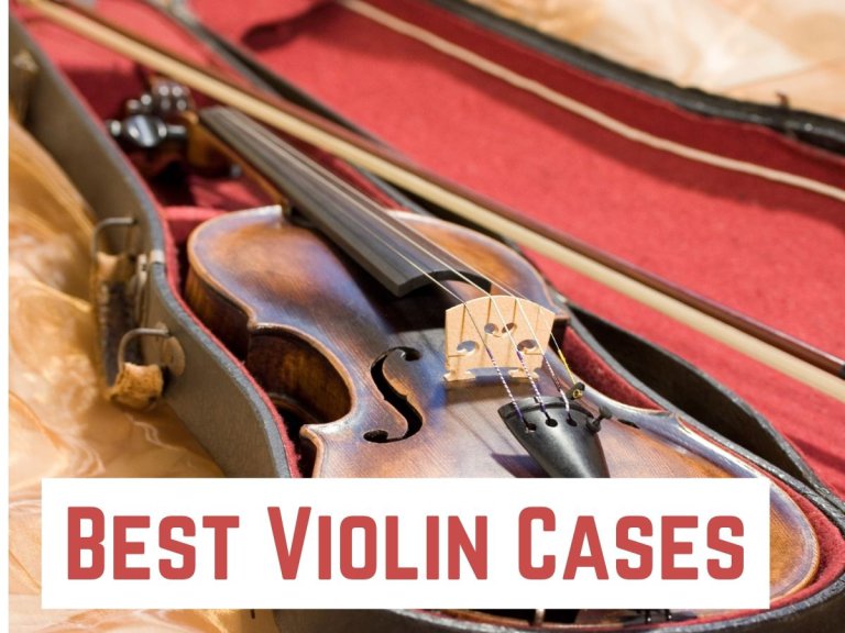 10 Best Violin Cases