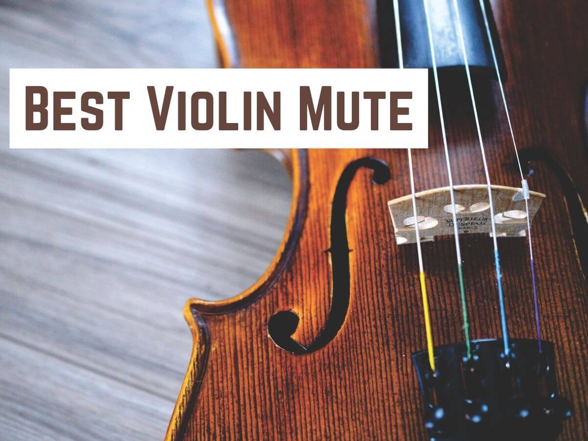 Best Violin Mute