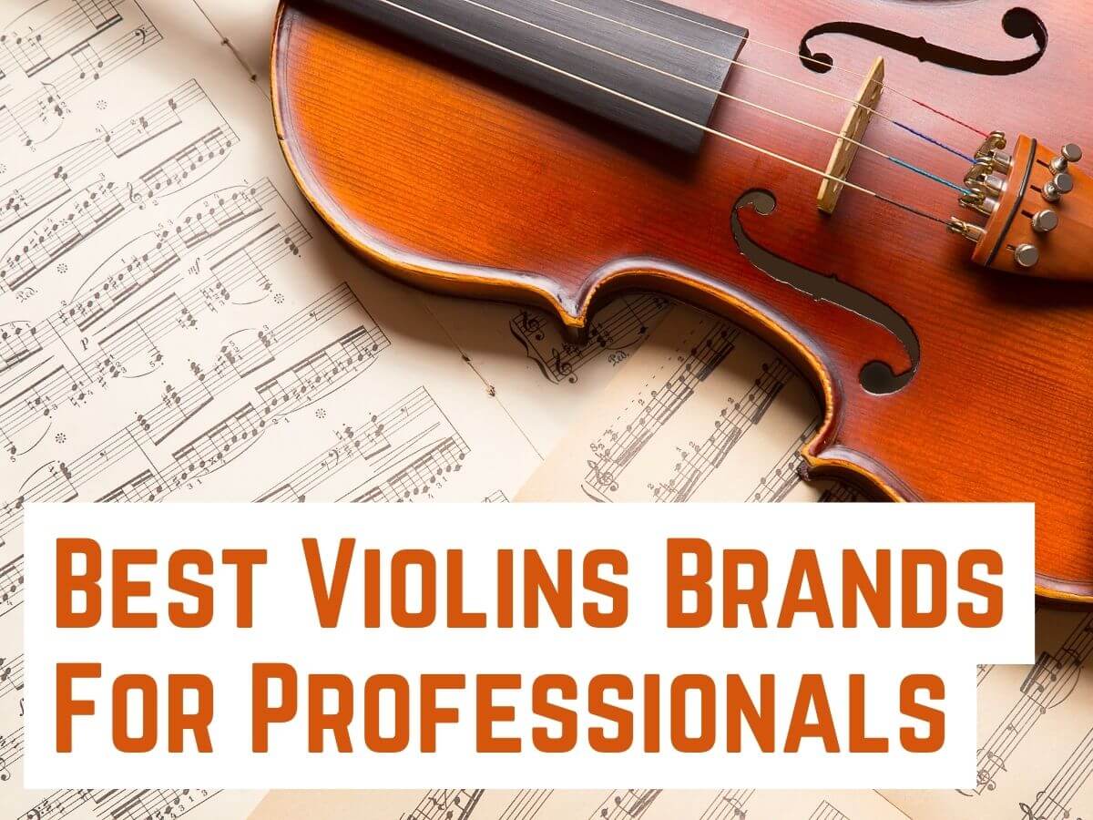 Best Violins Brands For Professionals