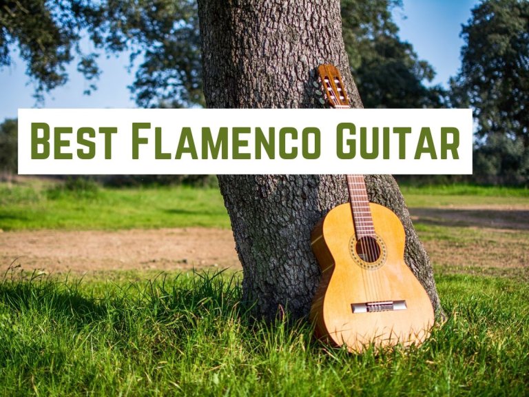 The 10 Best Flamenco Guitar